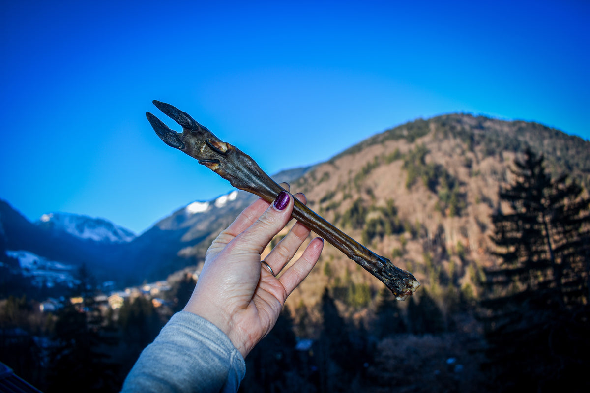 Doe stick