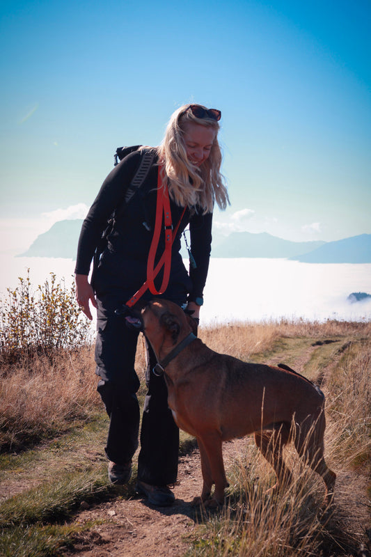 Adventure Hour - Flexi 4 Walk Bundle!