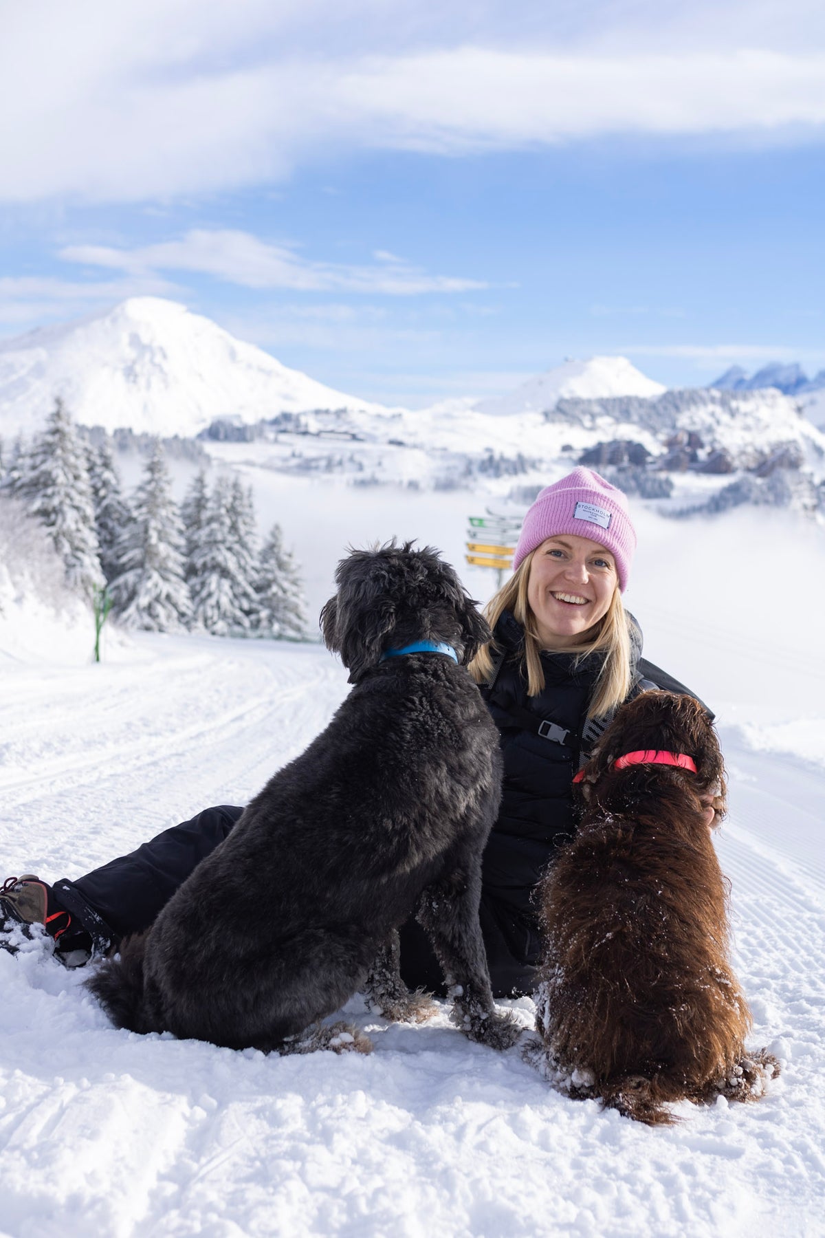 Adventure Hour - Flexi 4 Walk Bundle!