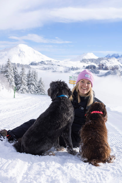 Adventure Hour - Flexi 4 Walk Bundle!