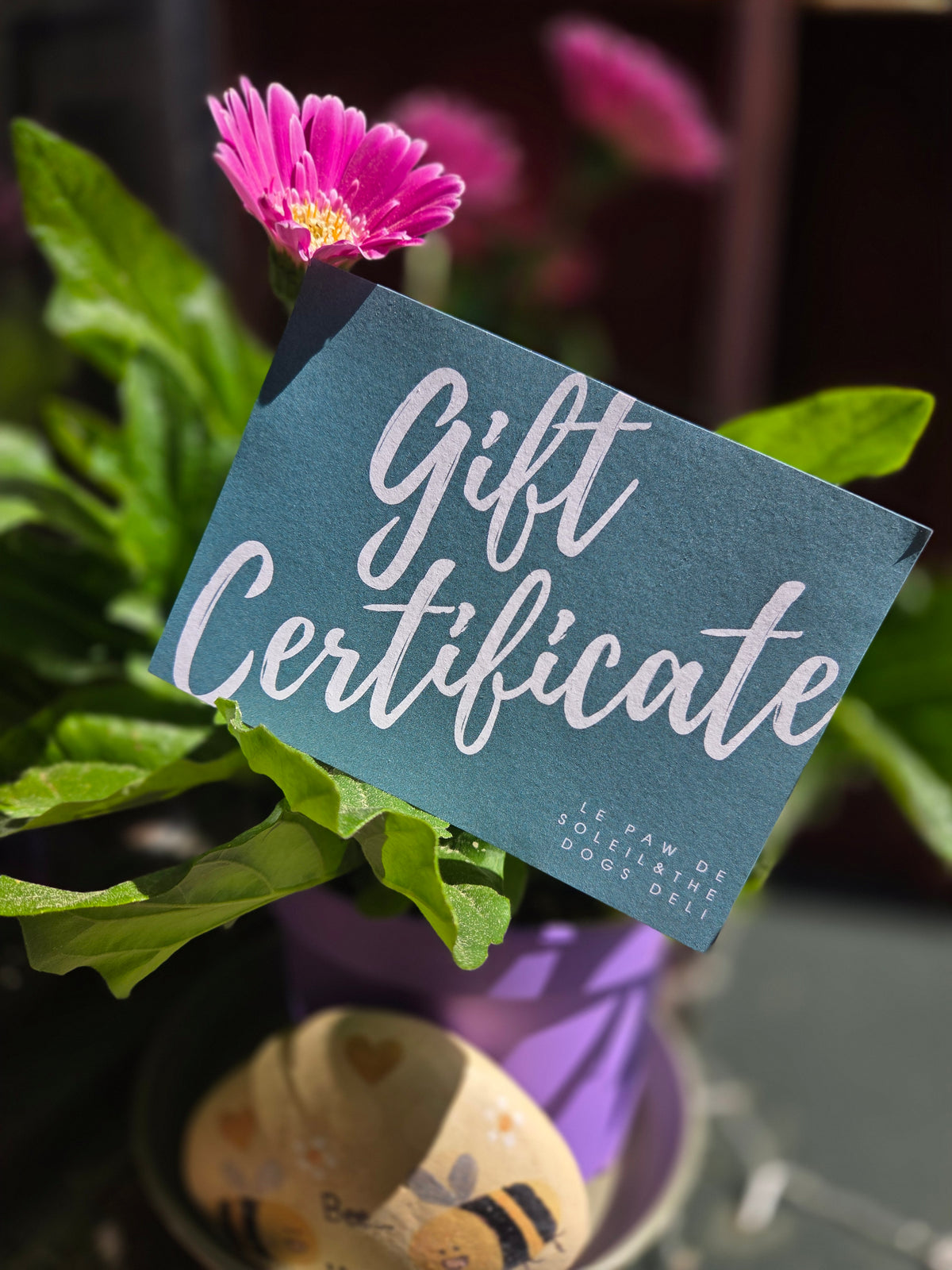 Gift Certificate