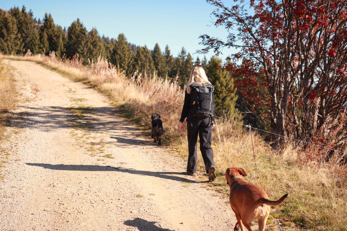 Adventure Hour - Weekly Walk Membership Plan