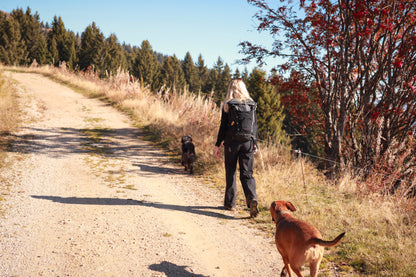 Adventure Hour - Weekly Walk Membership Plan