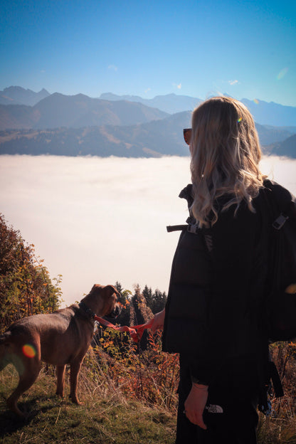 Adventure Hour - Weekly Walk Membership Plan
