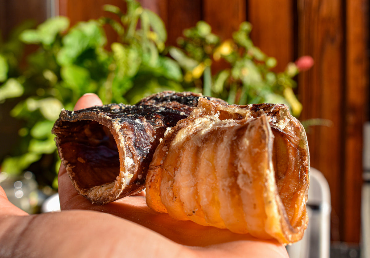 Bitesize Beef Tube