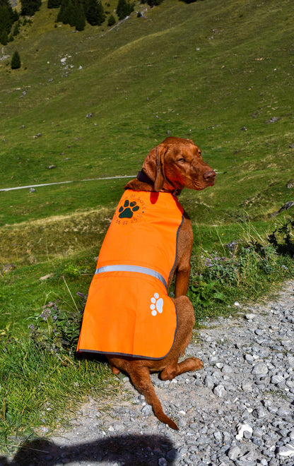 Hunting Vest for Dogs