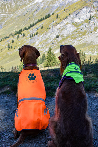 Hunting Banadana for Dogs